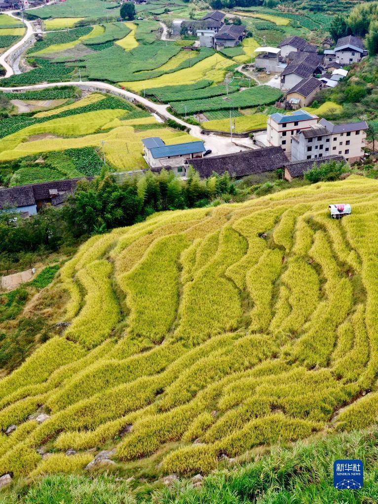 柬埔寨财通在哪里